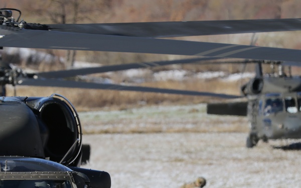 Operation Bowie Strike