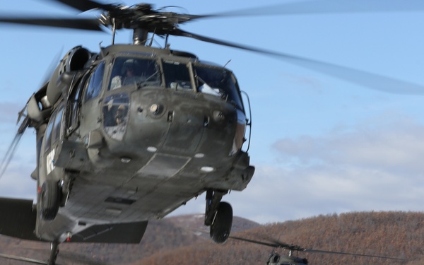 Operation Bowie Strike