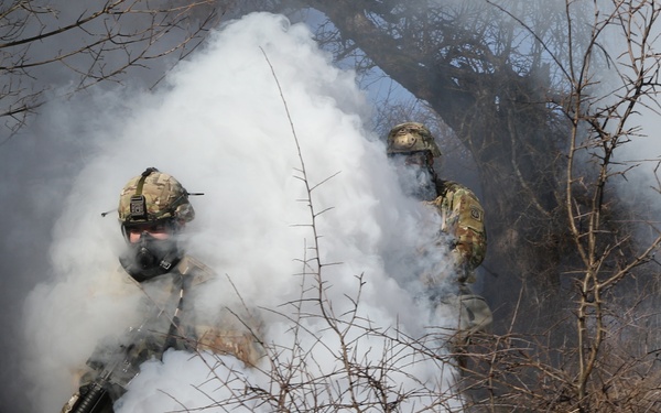 Operation Bowie Strike