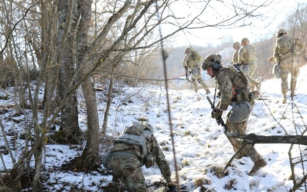 Operation Bowie Strike