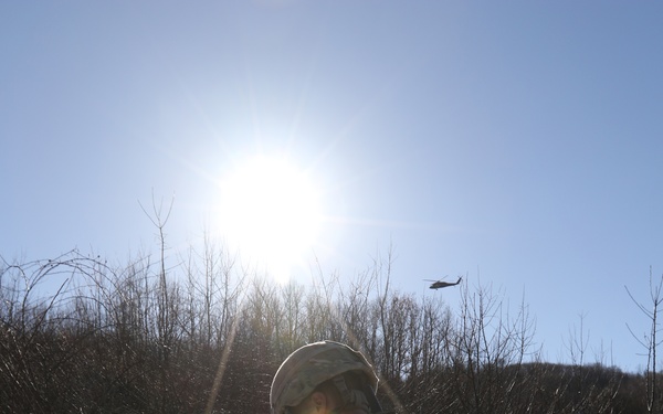 Operation Bowie Strike