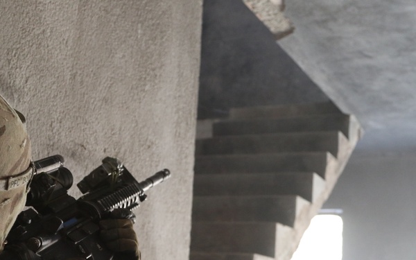 Operation Bowie Strike