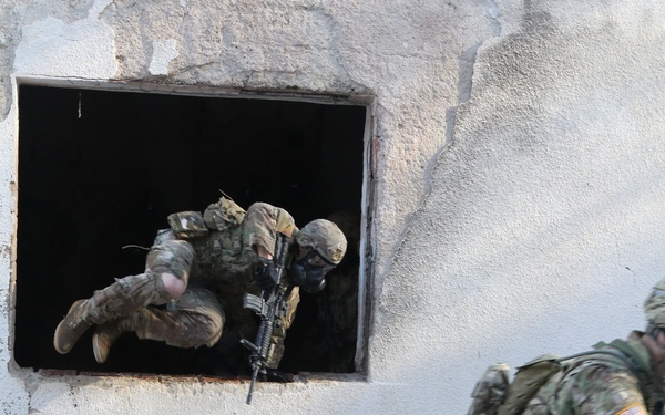 Operation Bowie Strike