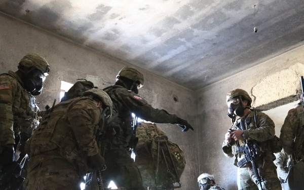 Operation Bowie Strike