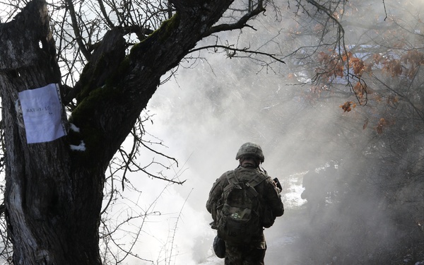 Operation Bowie Strike