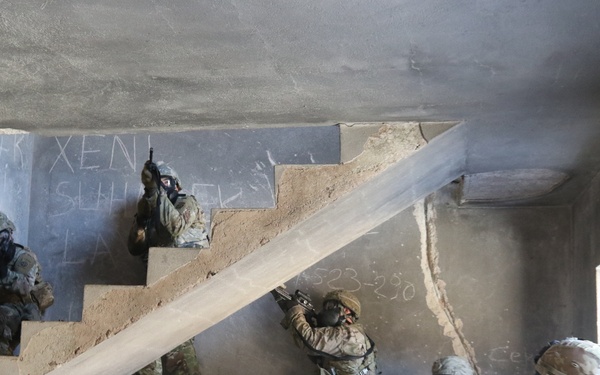 Operation Bowie Strike