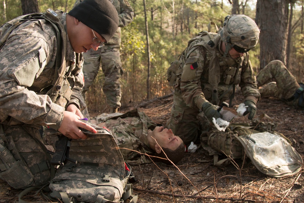 3rd Battalion, 1st SFAB worked with a simulated partner army for advise-assist training