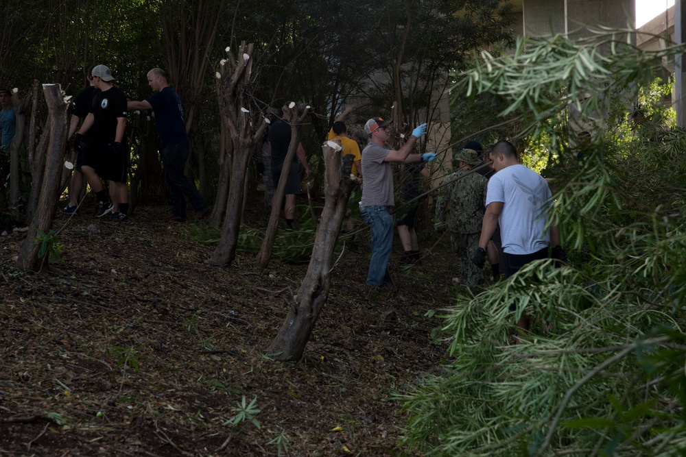 Hawaii servicemembers launch large scale clean-up