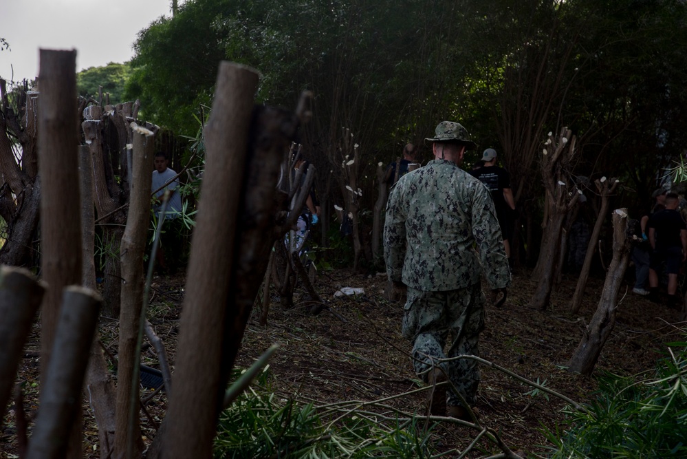 Hawaii servicemembers launch large scale clean-up