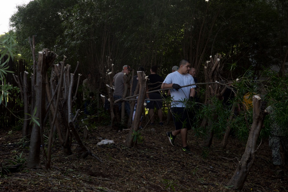 Hawaii servicemembers launch large scale clean-up