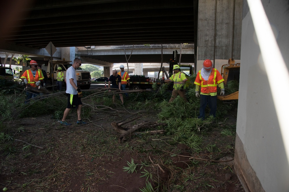 Hawaii servicemembers launch large scale clean-up