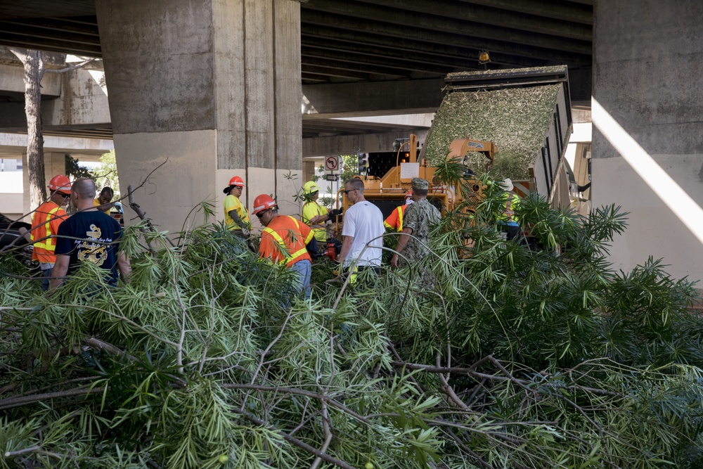 Hawaii servicemembers launch large scale clean-up