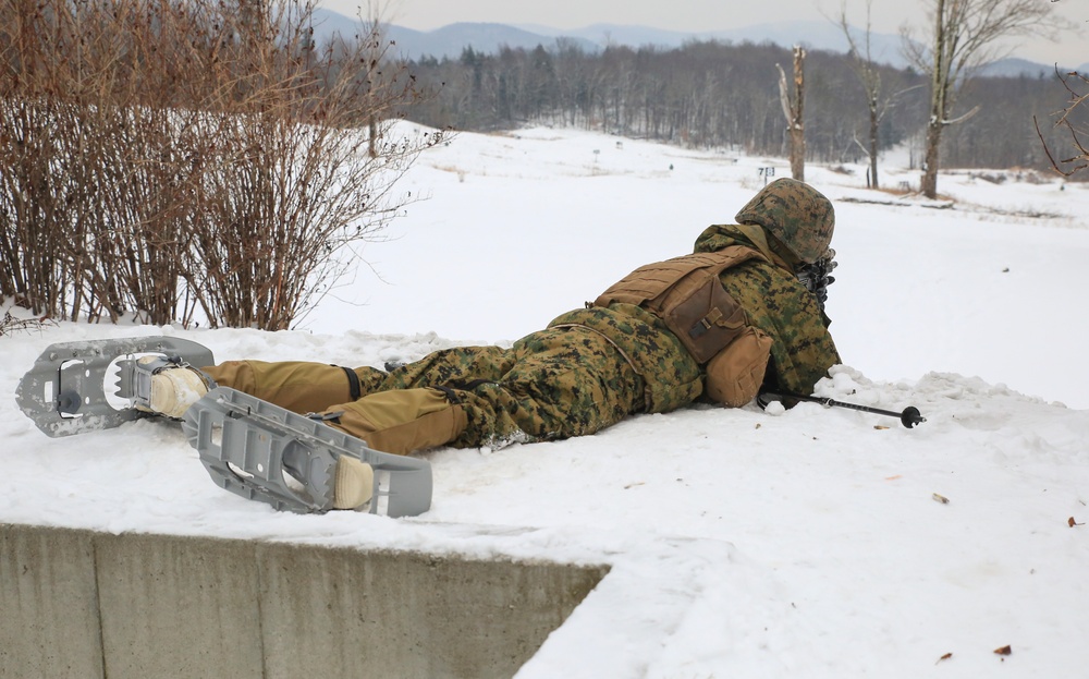 Reserve Marines test their limits in exercise Nordic Frost 18