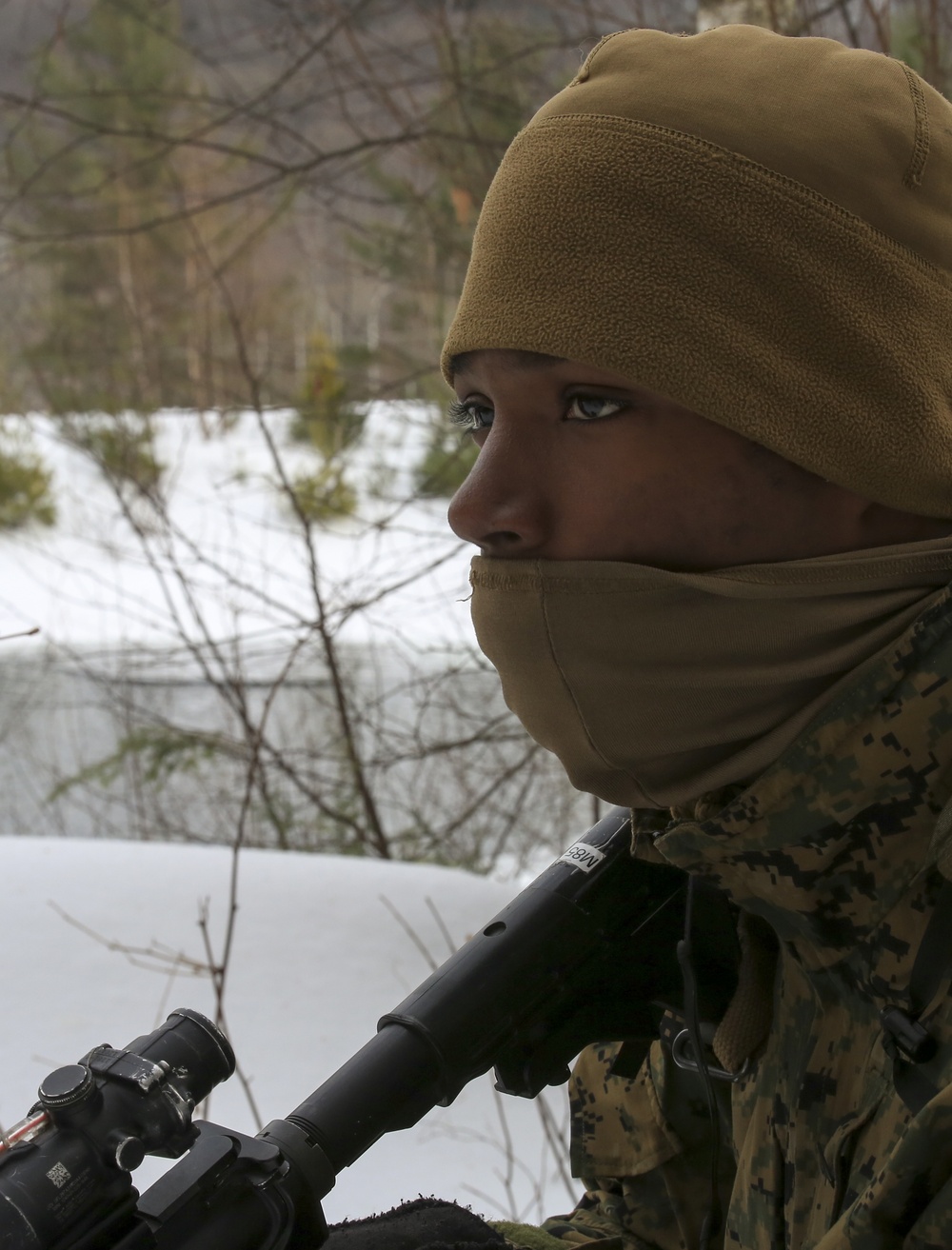 Reserve Marines test their limits in exercise Nordic Frost 18