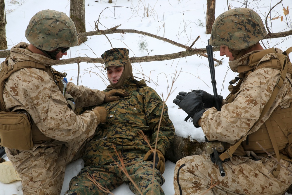 Reserve Marines test their limits in exercise Nordic Frost 18