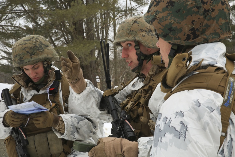 Reserve Marines test their limits in exercise Nordic Frost 18