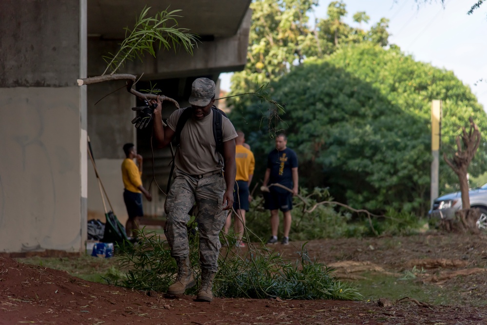 Hawaii servicemembers launch large scale clean-up