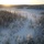 U.S. Marines participate in the Swedish Basic Winter Warfare Course U.S. Marines participate in the Swedish Basic Winter Warfare Course