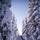U.S. Marines participate in the Swedish Basic Winter Warfare Course U.S. Marines participate in the Swedish Basic Winter Warfare Course