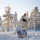 U.S. Marines participate in the Swedish Basic Winter Warfare Course U.S. Marines participate in the Swedish Basic Winter Warfare Course