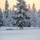 U.S. Marines participate in the Swedish Basic Winter Warfare Course U.S. Marines participate in the Swedish Basic Winter Warfare Course