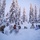 U.S. Marines participate in the Swedish Basic Winter Warfare Course U.S. Marines participate in the Swedish Basic Winter Warfare Course