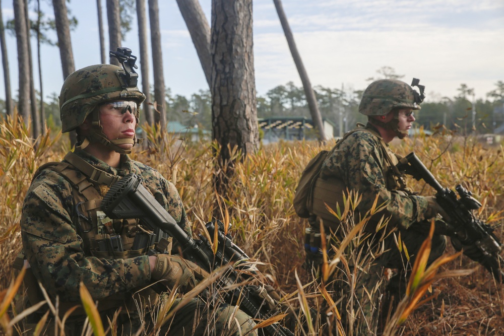 Eyes forward: 2nd LAR conducts scout training