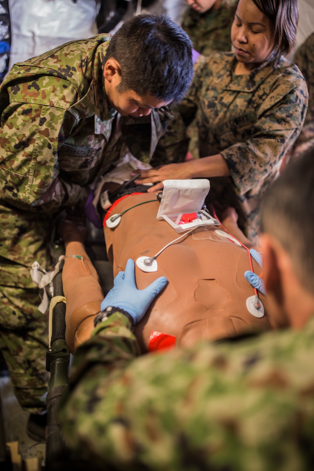 Exercise Iron Fist 2018: Field Medical Support