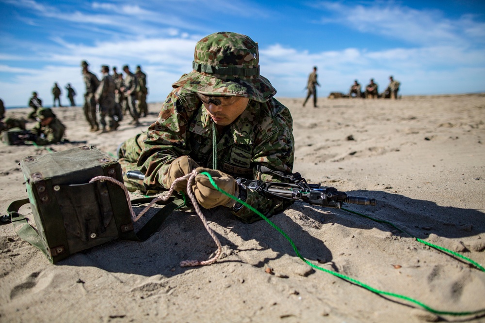 Exercise Iron Fist 2018: Mine Clearing