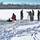 Ullr Shield Exercise Training Ops at Fort McCoy