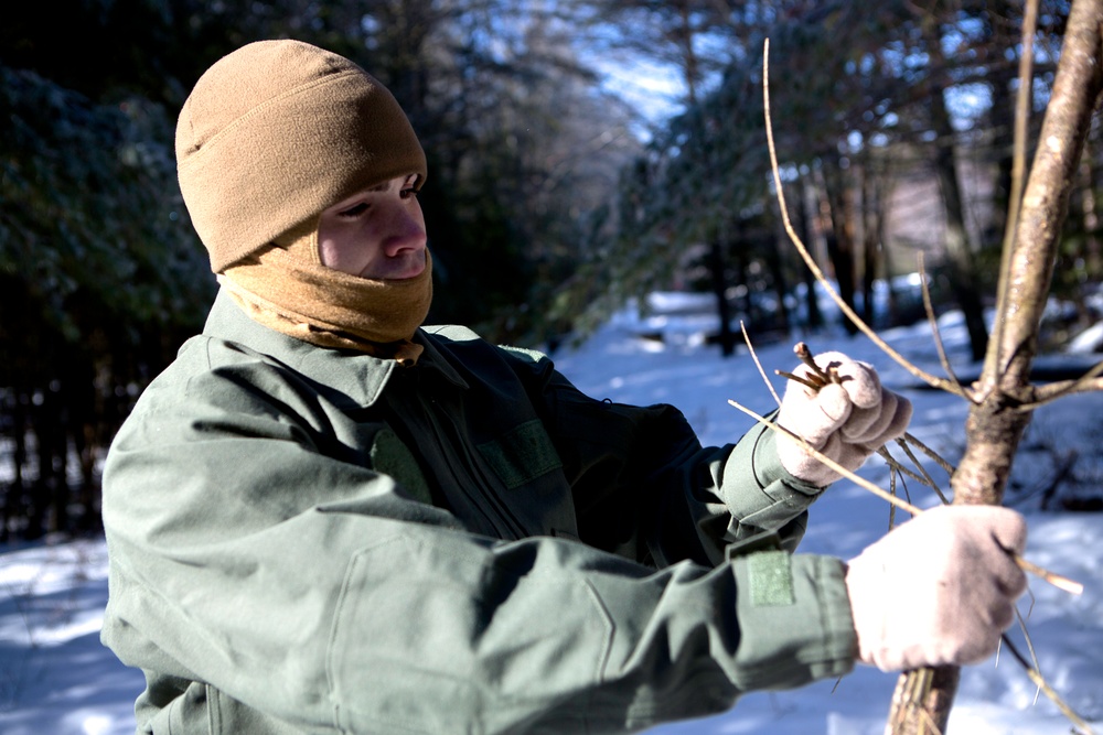 Marines with HMH-464 take on the cold