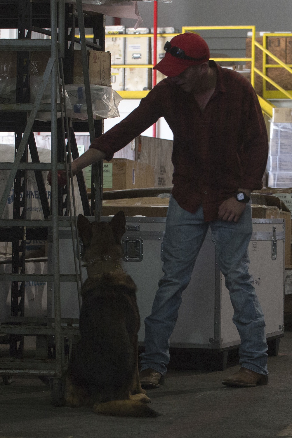 Military working dogs train alongside Guam Police Department