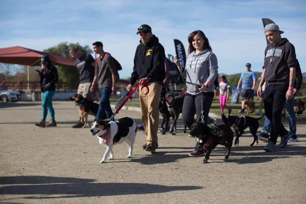 Tails and Trails Dog Walk