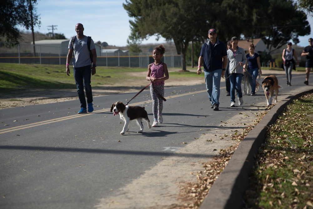 Tails and Trails Dog Walk