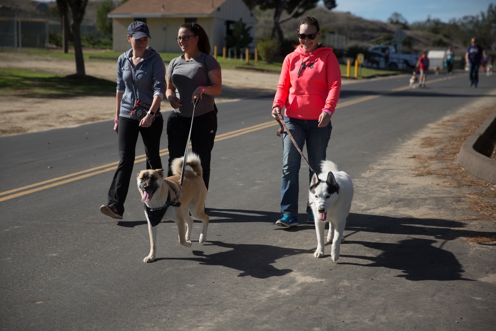 Tails and Trails Dog Walk