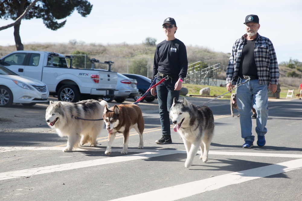 Tails and Trails Dog Walk