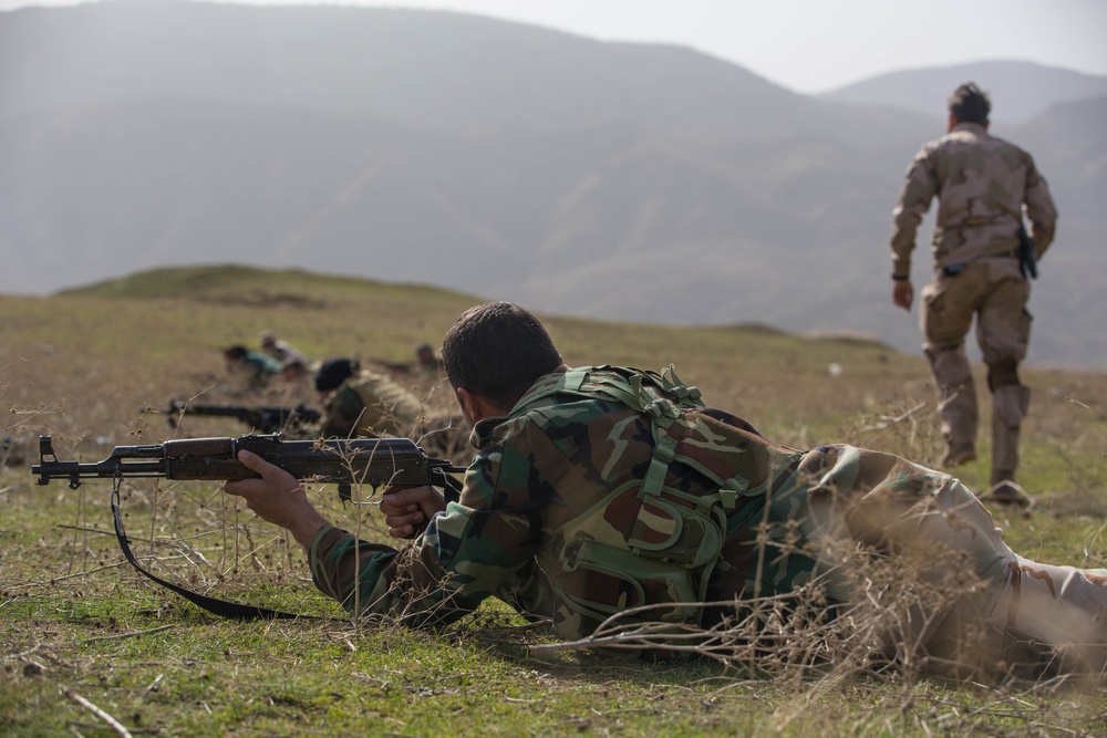 Reacting to Contact Training