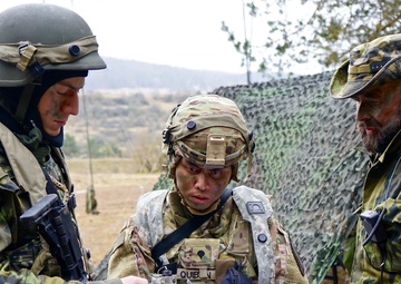 ‘Air Cav’ enhances interoperability at Allied Spirit