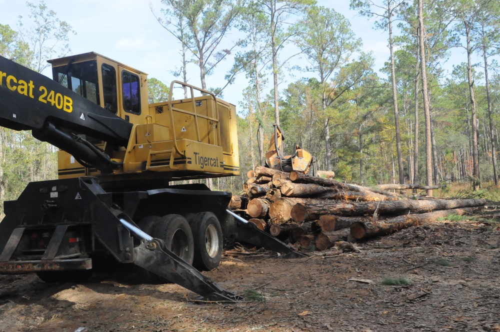 Bustling Corps Forestry Program supports habitat, enhances military training