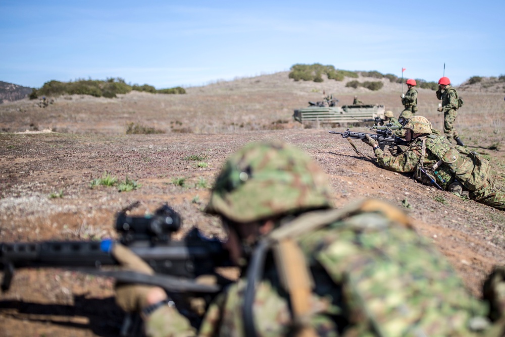 Exercise Iron Fist 2018: Live Fire and Maneuver Training