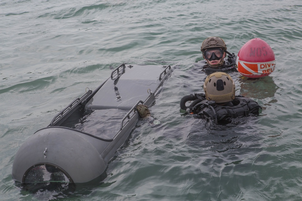 Charlie Company 2d Reconnaissance Battalion Dive Insertion Training Key West