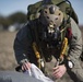 U.S. Marines with 2d Reconnaissance Bn. conduct parachute operations