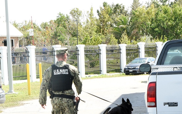 Solid Curtain Citadel Shield Key West