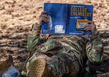 Do You Need More Schooling to Accomplish Your Post-Transition Career Goals?