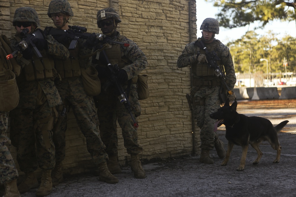 Seizing the day: Marines enhance tactical skills