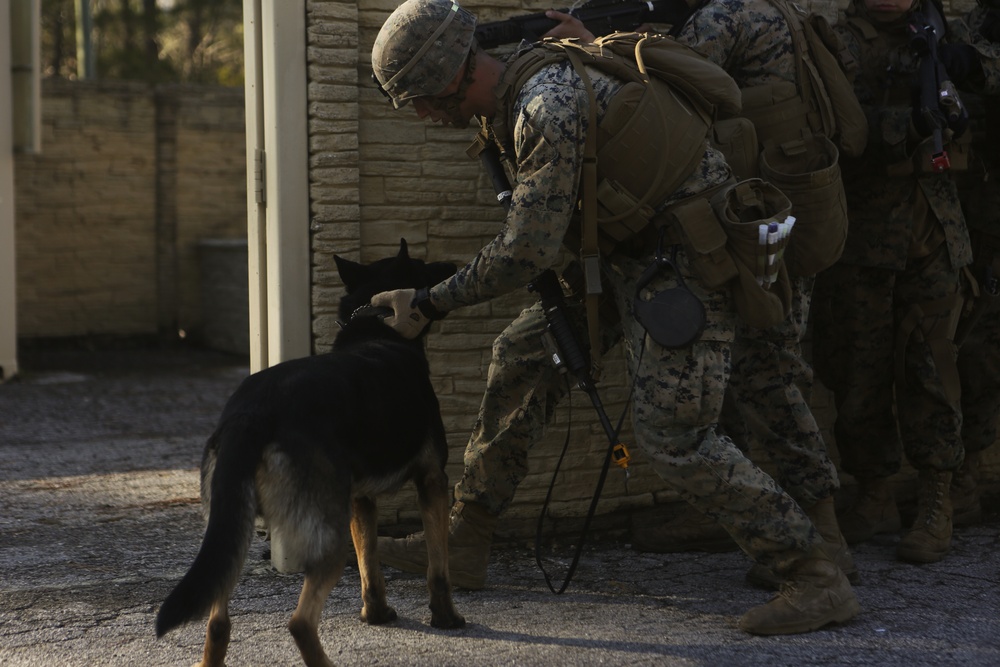 Seizing the day: Marines enhance tactical skills