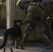 Seizing the day: Marines enhance tactical skills