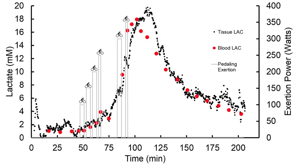 CHARTING EXERTION LEVELS