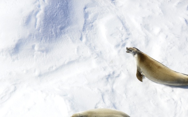 Coast Guard Cutter Polar Star transits toward Antarctica supporting Operation Deep Freeze 2018