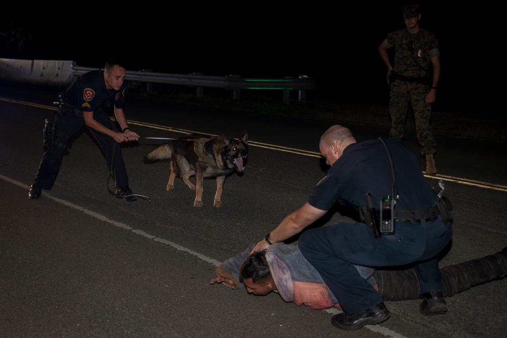 MWDs and their partners keep guard aboard MCBH
